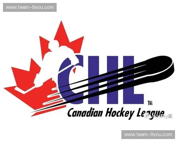 官网NHLAPP：官方权威与沉浸体验并行的冰球掌上助手